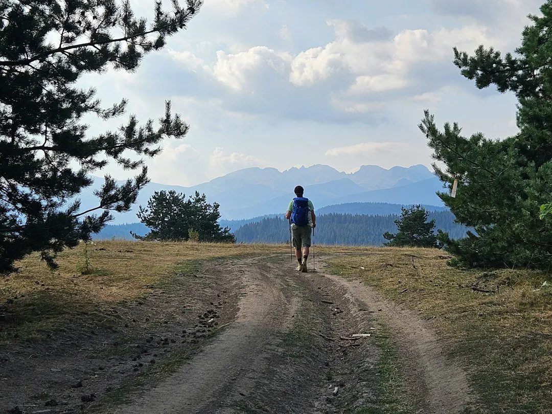 Dirt trail leading towards a mountain range